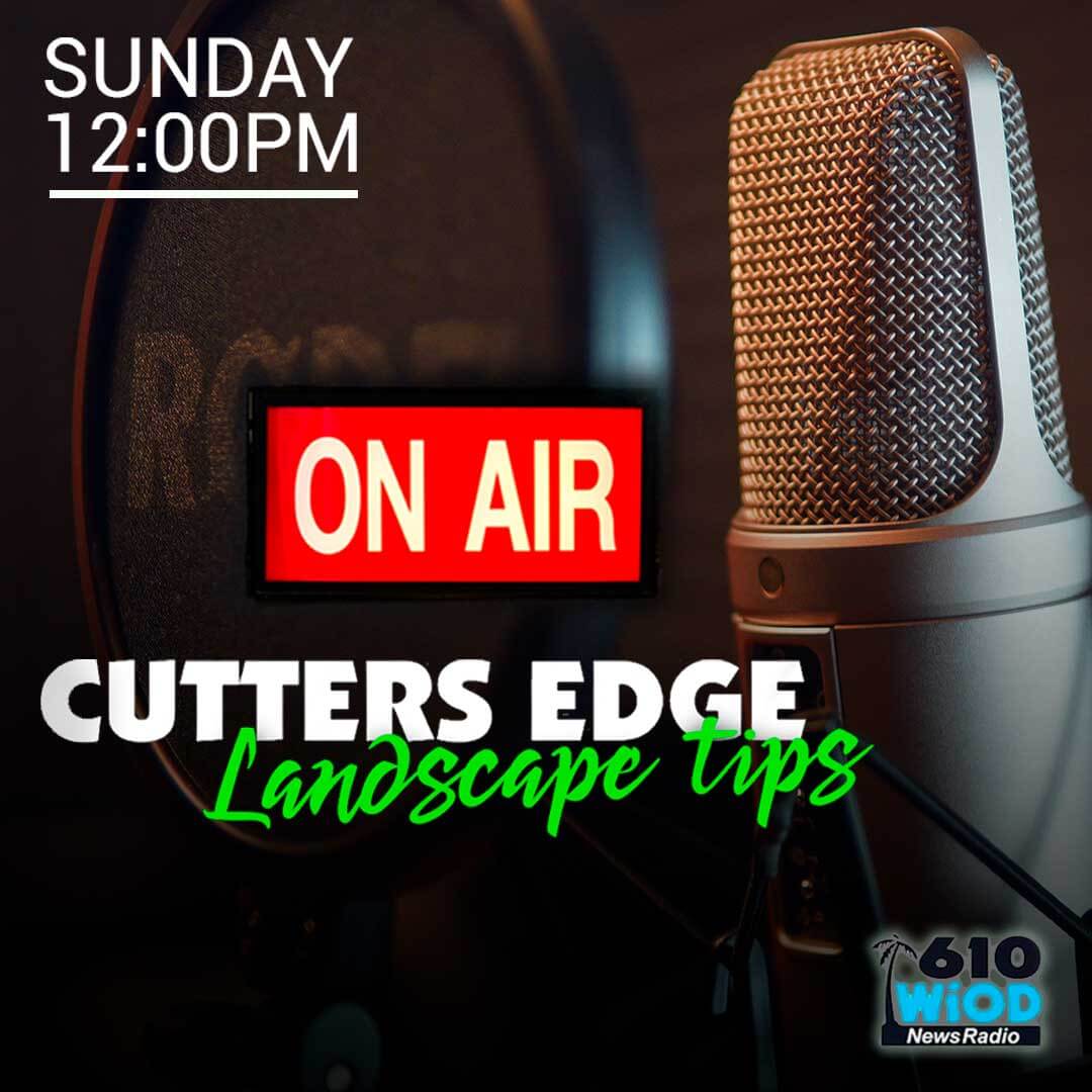 tune-in (1)