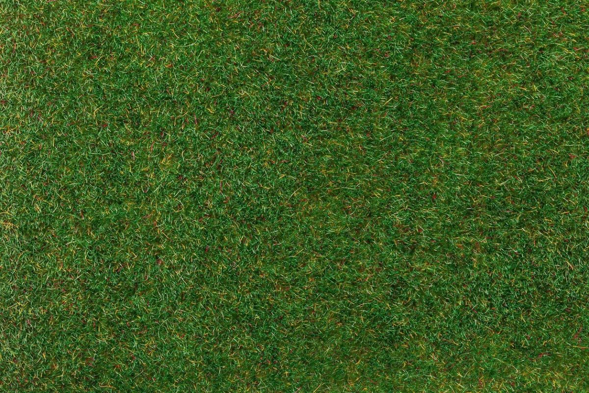 Grass texture бесшовная