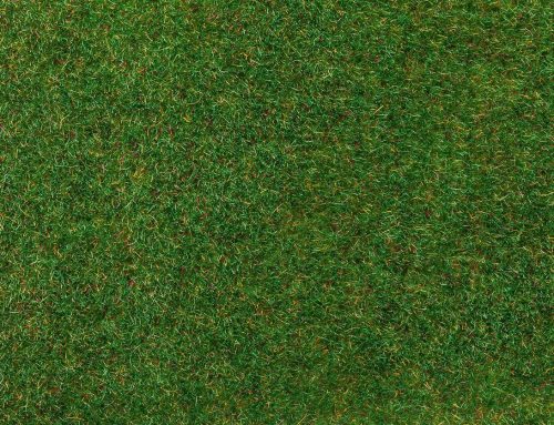 Synthetic Grass: Uses, Advantages, and Disadvantages