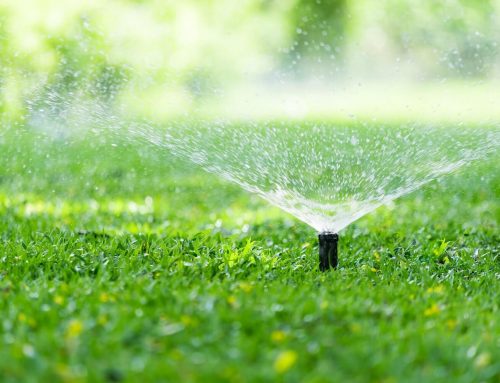 What You Should Know About Above Ground Irrigation Systems