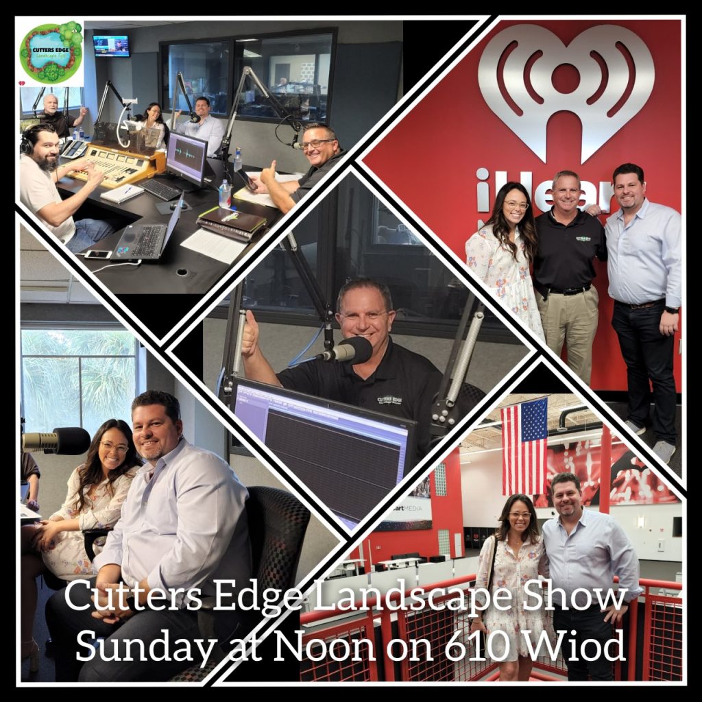 radio show