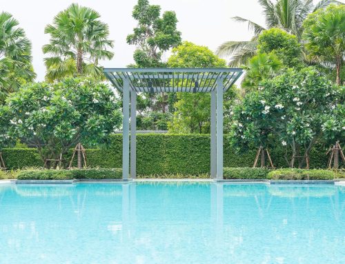 Above-ground Pool Landscaping: Some Ideas and Tips