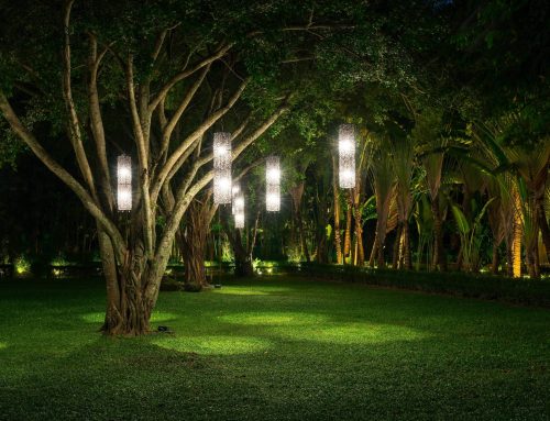 Tree Uplighting Tips to Make Your Trees Stand Out