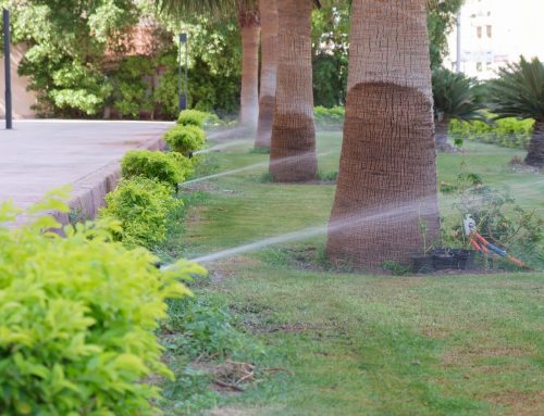 A Comprehensive Guide to Irrigation System Repair