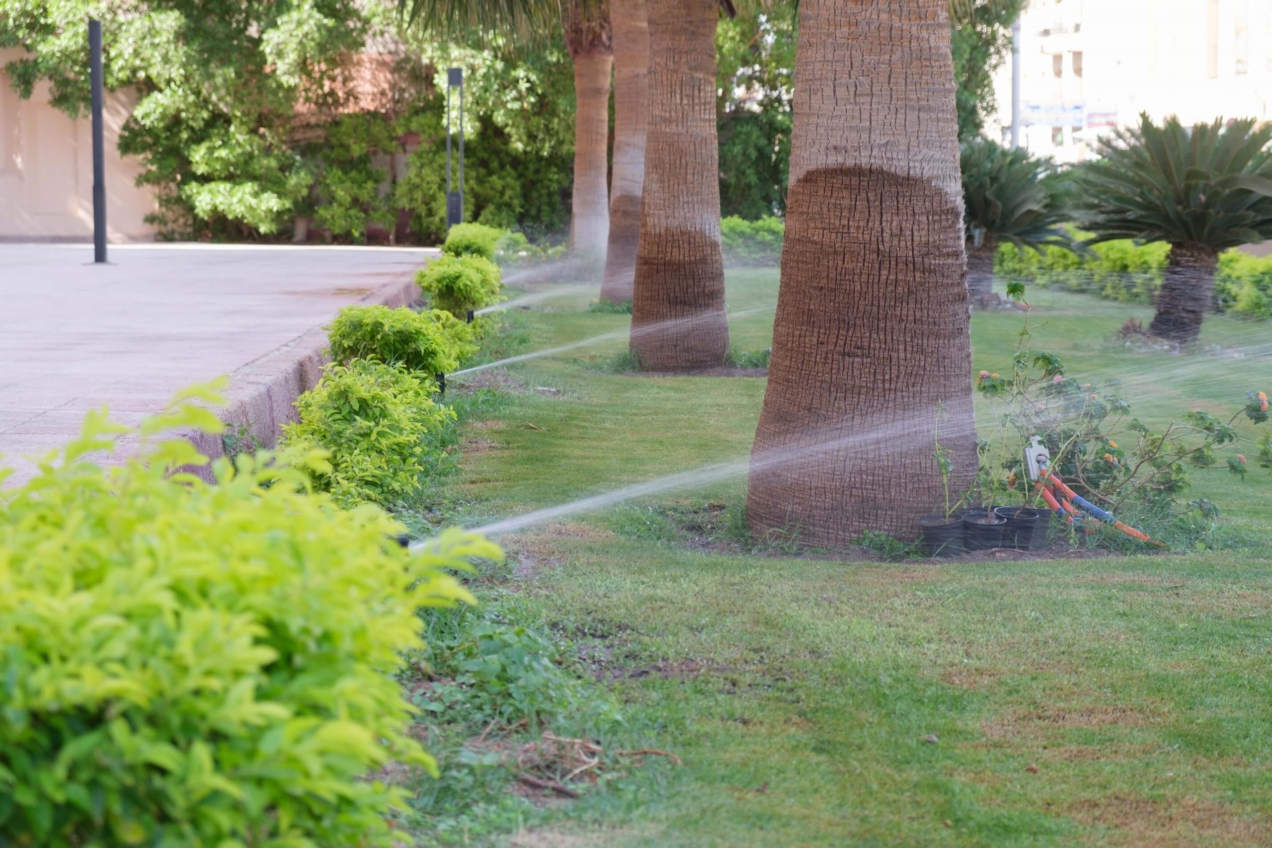 a photo of an irrigation system