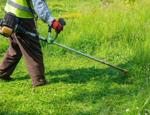 Grass-Cutting Service: Unlocking the Green Oasis