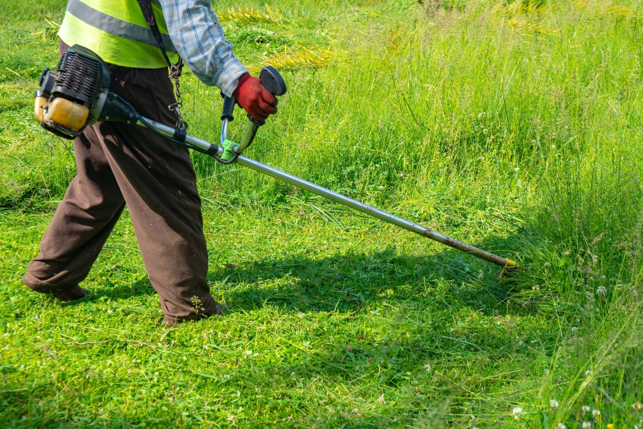 a photo of a landscaping expert cutting grass