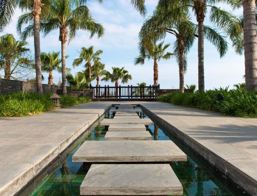 Modern Landscape Design Ideas for Florida Homes