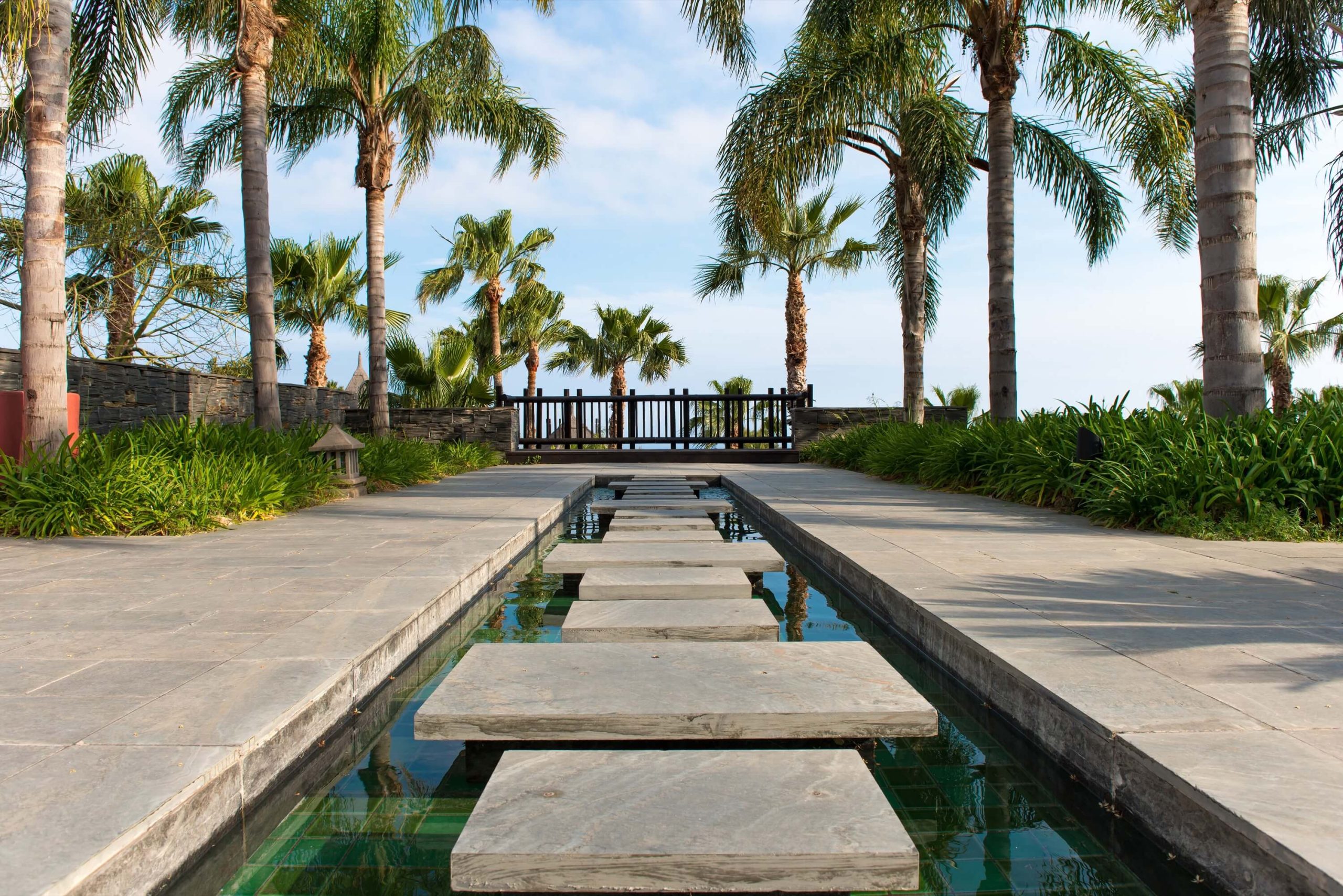 A photo of a minimalist backyard with a few palm trees