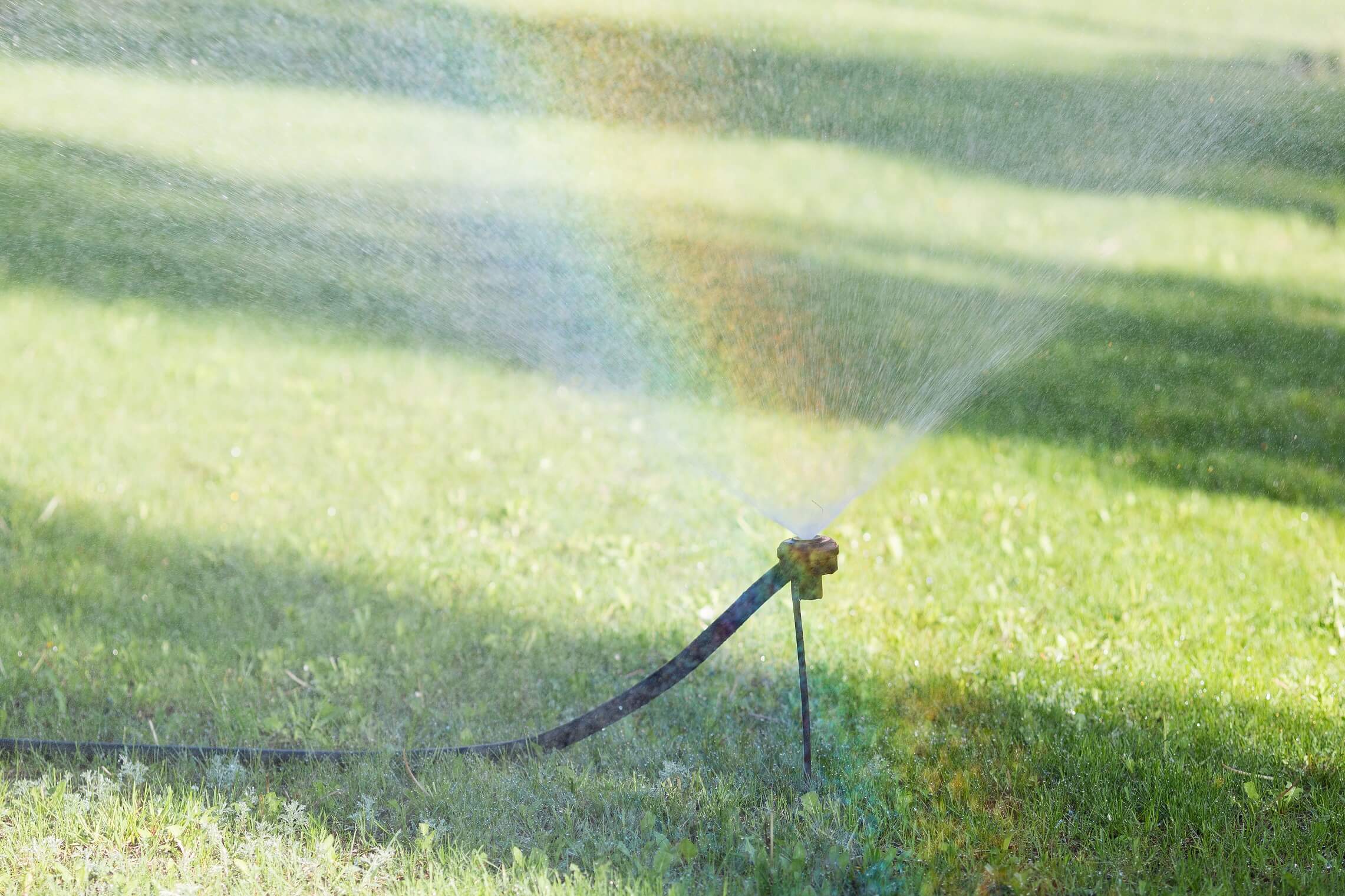 A photo of green grass being irrigated