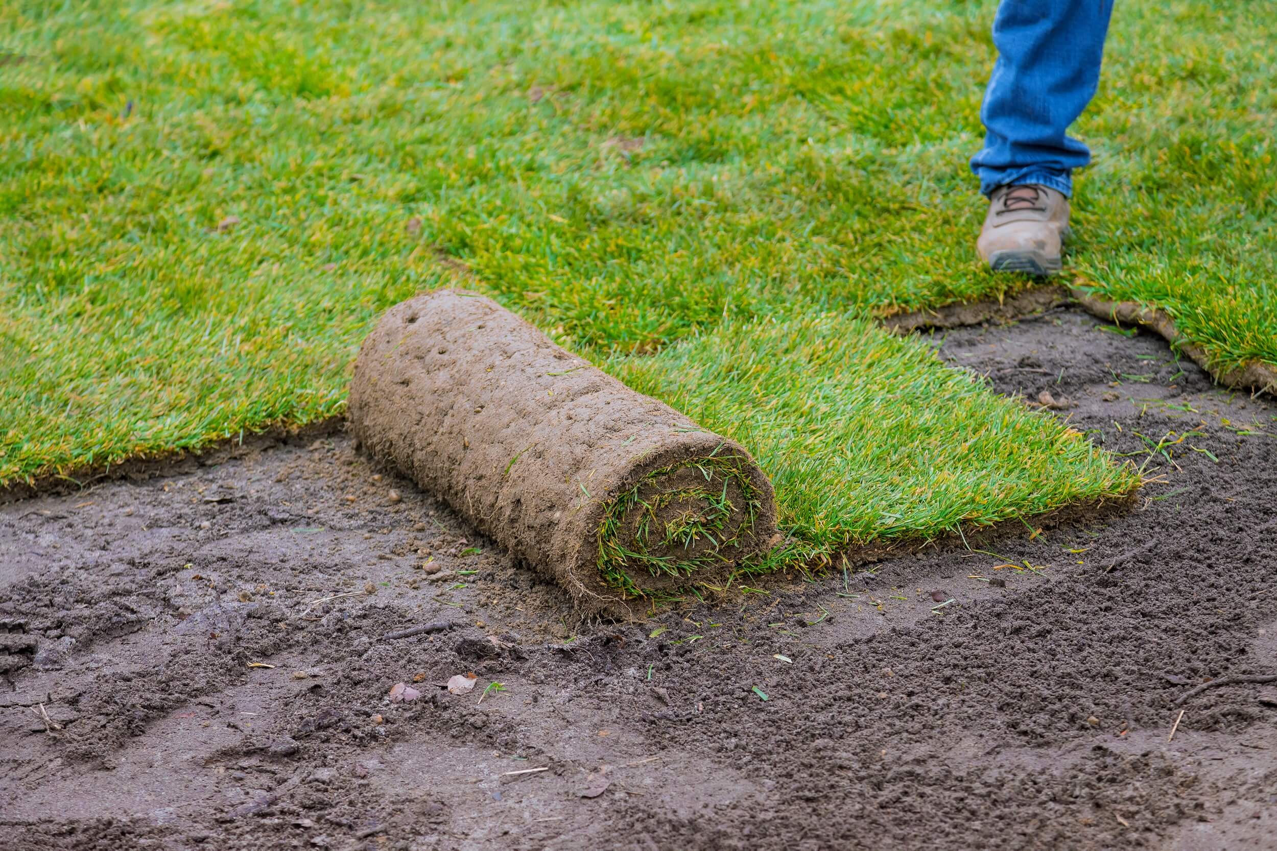 A photo of a person installing sod