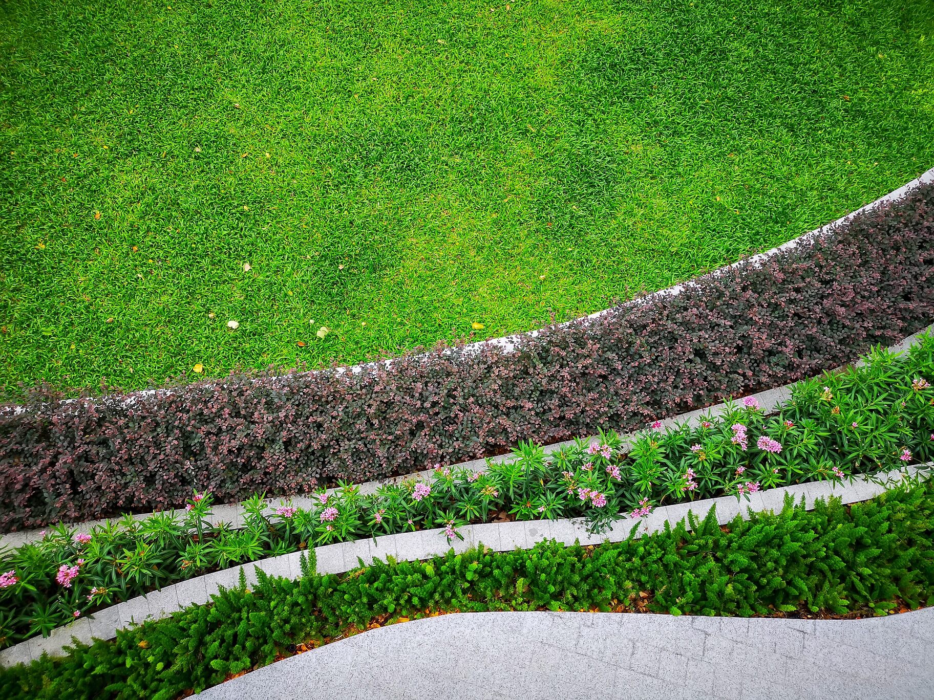 A photo of a beautiful sloped garden