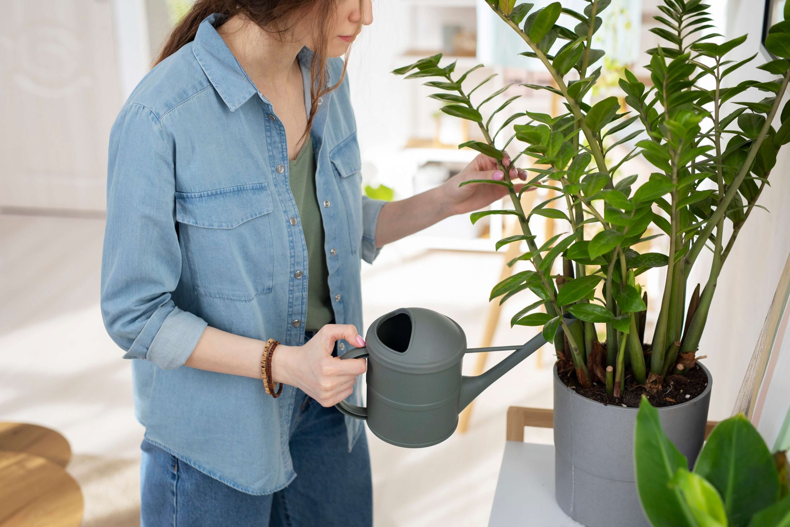 A close-up of a person watering their plants