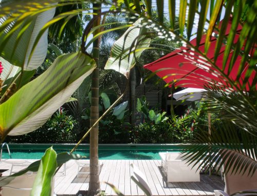 Tropical Garden in Florida: Inspiring Ideas for a Lush Paradise