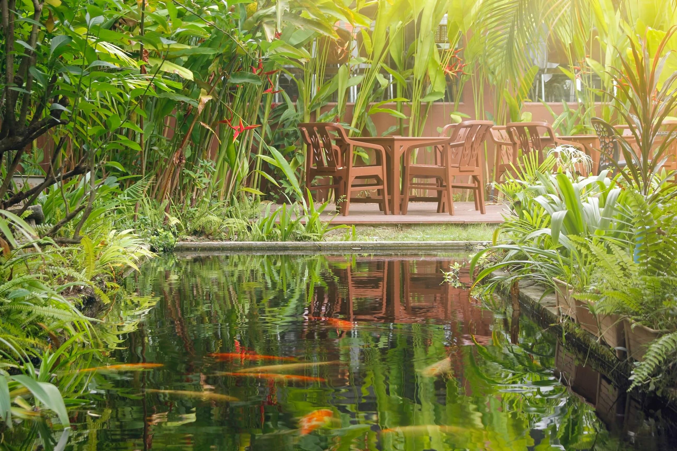 A photo of a tropical garden