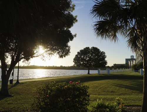 Native Plants: The Smart Way to Landscape in South Florida