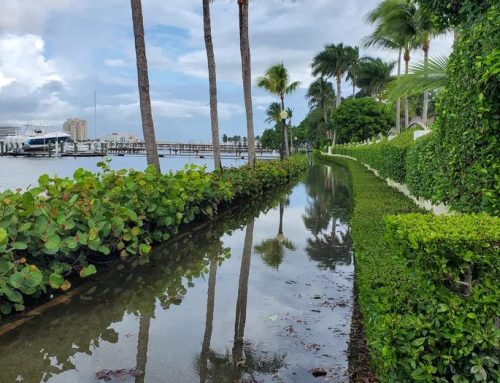 Hurricane Readiness in Commercial Landscaping: Protecting Your South Florida Property