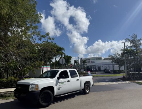 Built by People. Driven by Purpose. How the Cutters Edge Team Powers a Strong Q2